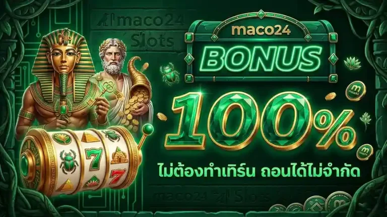 เว็บ maco 24